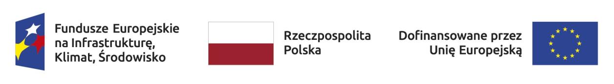 Logo 'Funduszy Europejskich', Flaga Polski, Logo 'Sfinansowane przez UE' o raz Logo Ministerstwa Zdrowia